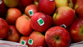 Äpfel mit Bioland-Siegel liegen während der 90. Internationalen Grünen Woche an einem Stand. 
