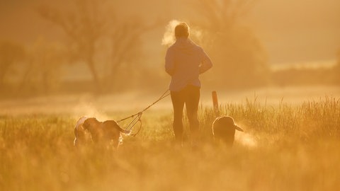 Eine Joggerin ist am Morgen mit ihren Hunden im Gegenlicht der aufgehenden Sonne unterwegs. Die Temperaturen erreichen laut DWD rund 15 Grad in Oberschwaben