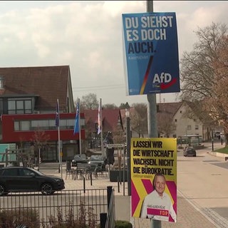 Wahlplakate von AfD und FDP