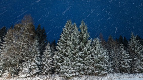 Schnee fällt bei Freudenstadt und bleibt dabei auf den Nadelbäumen liegen.. Am Wochenende kann es in BW sogar in tieferen lagen schneien.