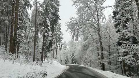 Schneebedeckter Wald an einer Straße rund um Spaichingen im Kreis Tuttlingen