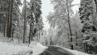 Schneebedeckter Wald an einer Straße rund um Spaichingen im Kreis Tuttlingen