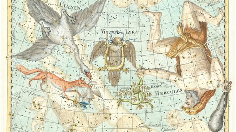 Zeicnung der Sternbilder Leier und Herkules am Himmel. Die Lyriden sind nach dem Sternbild benannt. Von hier aus scheinen die Sternschnuppen zu kommen.