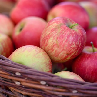 Die Apfelernte 2025 war gut - doch die Bauern in Baden-Württemberg leiden unter Konkurrenzdruck und Billigpreisen.