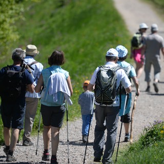 Eine Gruppe von Wanderinnen und Wanderern ist auf dem Schauinsland im Schwarzwald unterwegs. Bei Wanderungen machen manche gelegentlich Fehler, so dass sie in Notlagen geraten.
