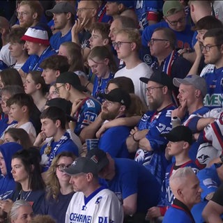 Die Fans der Adler Mannheim
