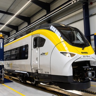 Ein Zug steht in einem Depot der SWEG. Die Werkstatt ist für Regionalzüge in Baden-Württemberg, besonders in der Ortenau, bestimmt.