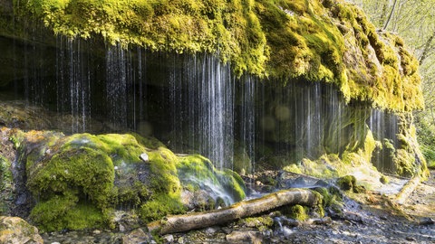 picture alliance  imageBROKER | Gabriele Hanke