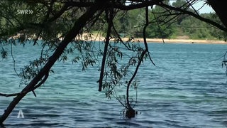 Ein Badesee in der Nähe von Bühl in Baden