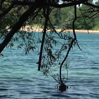 Ein Badesee in der Nähe von Bühl in Baden