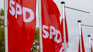 SPD-Fahnen wehen im Wind. Nach dem historisch schlechten Ergebnis bei der Landtagswahl soll bis Mitte Juni ein neuer BW-Landesvorsitz gewählt werden.