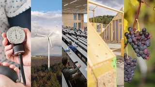 Symbolbilder für Medizin, Energie, Wissenschaft, Holz und Wein.