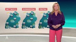 Wetter-Moderatorin Claudia Kleinert