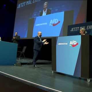AfD-Landesparteitag