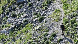 Ein einsamer Wanderer ist im unterwegs auf einem Wanderweg.