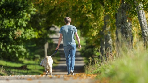 Ein Mann geht im Sonnenschein mit seinem Hund auf der Schwäbischen Alb spazieren. Der Deutsche Wetterdienst erwartet eine Hitzewelle in Baden-Württemberg. Teilweise werden bis zu 37 Grad erwartet.