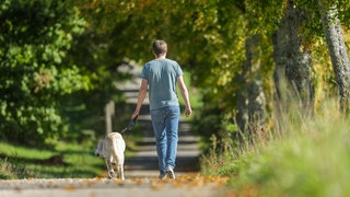 Ein Mann geht im Sonnenschein mit seinem Hund auf der Schwäbischen Alb spazieren. Der Deutsche Wetterdienst erwartet eine Hitzewelle in Baden-Württemberg. Teilweise werden bis zu 37 Grad erwartet.