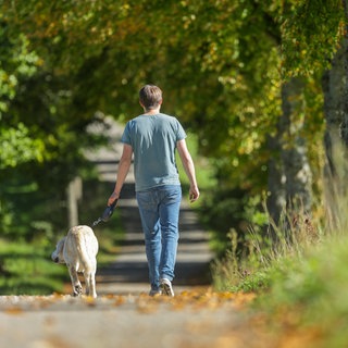 Ein Mann geht im Sonnenschein mit seinem Hund auf der Schwäbischen Alb spazieren. Der Deutsche Wetterdienst erwartet eine Hitzewelle in Baden-Württemberg. Teilweise werden bis zu 37 Grad erwartet.