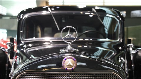Mercedes Stern