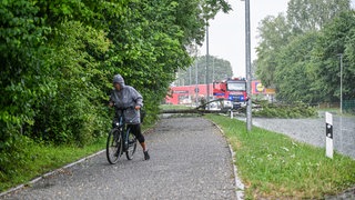 Umgestürzte Baumstämme nach einem Unwetter in Friedrichshafen