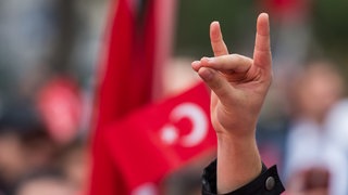 Eine Hand zeigt den "Wolfsgruß" der Grauen Wölfe während einer Pro-Türkischen Demonstration. Graue Wölfe ist die Bezeichnung für die ultranationalistische Bewegung aus der Türkei.