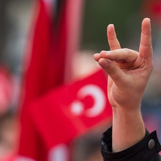Eine Hand zeigt den "Wolfsgruß" der Grauen Wölfe während einer Pro-Türkischen Demonstration. Graue Wölfe ist die Bezeichnung für die ultranationalistische Bewegung aus der Türkei.