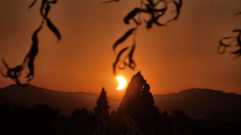 Die Sonne geht hinter einem Berg und mehreren Bäumen unter