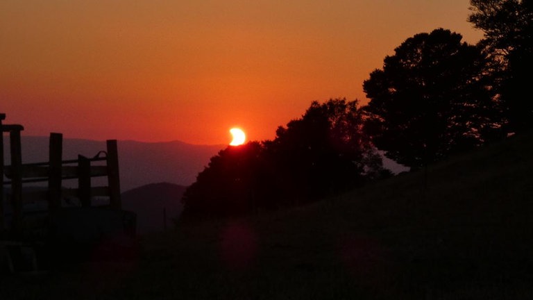 Sonnenfinsternis über Baden-Württemberg