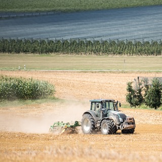 Ein Traktor pflügt ein ehemaliges Getreidefeld um. Im Hintergrund sind Obstplantagen und links ein Maisfeld.