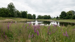 Die sogenannte Revitalisierung des Donauursprungs am Zusammenfluss von Brigach und Brenz bei Donaueschingen. Das naturnah umgestaltete Gelände war mit Kosten in Höhe von rund vier Millionen Euro eine der größten Maßnahmen zur Verbesserung der Gewässerstruktur in Baden-Württemberg.