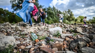 Symbolbild: Mehrere Personen sammeln am Rhein Müll. Beim "RhineCleanUp" treffen sich an diesem Samstag Freiwillige an Flüssen, um Müll zu sammeln. 