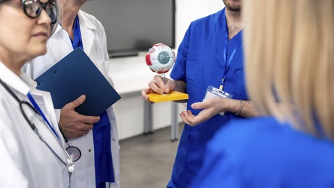 Ärzteteam im Austausch: Fachgesellschaften und das Netzwerk Evidenzbasierte Medizin warnen, dass das Ende der Cochrane-Förderung ein schwerer Schlag für die medizinische Wissenschaft ist.