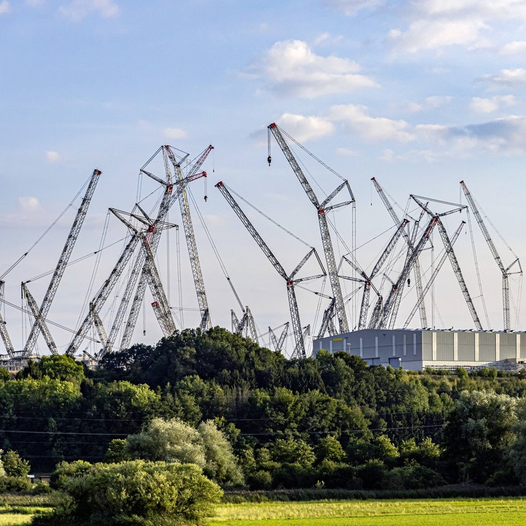Kräne auf Fabrikgelände in Ehingen