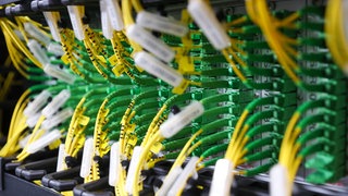 In Nierstein plant ein japanischer Konzern ein riesiges Rechenzentrum (Symbolbild)