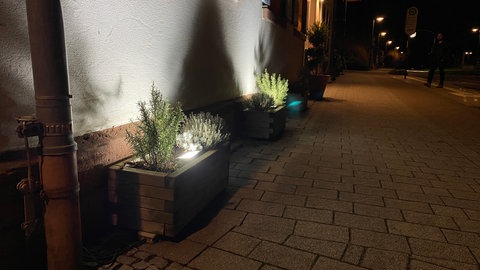 Künstliches Licht in der Nacht, sogenannte Lichtverschmutzung, schadet Mensch, Tier und Pflanze.