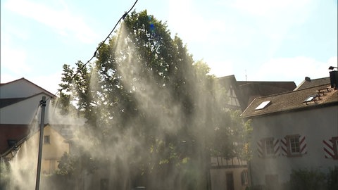Die Stadt Emmendingen testet derzeit ein Wasser-Sprühnebelsystem.
