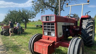 Ein roter Oldtimer-Traktor steht im Rahmen des Oldtimer-Treffens in Rheinhausen auf einem Obstbaumfeld.