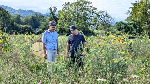 Ein Landwirt steht auf einer Ackerfläche, die mit wilden Blumen bewachsen ist.