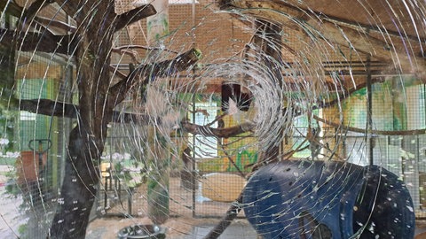Ein zersprungenes Glas am Affenstall im Mundenhof Freiburg. Unbekannte haben versucht einzubrechen.