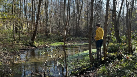 Am Steinbuckweiher in Buchheim in der March bei Freiburg trifft sich die Anglerjugend 