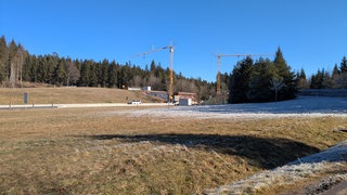 Die Baustelle der neuen Brücke nach Friedenweiler, mit zwei Kränen, zu beiden Seiten der B31. Im Vordergrund eine Wiese, im Hintergrund die Tannenbäume des Schwarzwalds, die die B31 säumen.