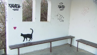 Katzen-Graffiti in Schliengen: Schwarze Katze an die Wand eines Bushäuschens gesprüht.