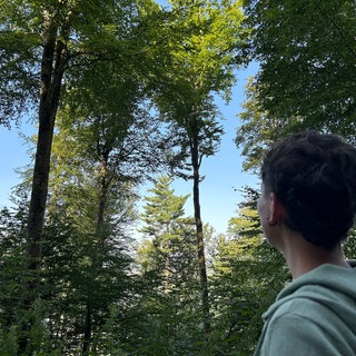 Der Regen sorgt im Wald in Wehr für eine Atempause. Auch Borkenkäfer vermehren sich weniger stark.