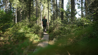 Ein Mann in Arbeitskleidung läuft auf einem kleinen Holzsteg durch ein Moorgebiet, das aussieht wie ein Wald.