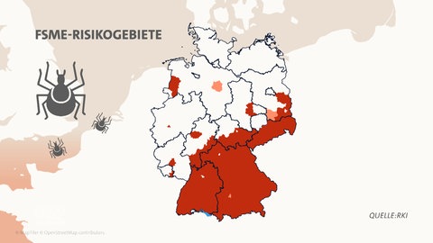 Fast das ganze Jahr gibt es Zecken in Baden-Württemberg.