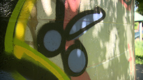 Ein Penis wurde als Graffiti an eine Wand im Freiburger Seepark gesprüht. 