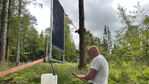 Nebelkollektor im Wald 
