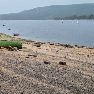 Die Uferbereiche des Schluchsees sind zu riesen Sand- und Steinbänken geworden. Der See hat zu wenig Wasser. 