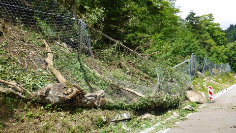 Felsteile haben im Kreis Waldshut einen Schutzzaun durchbrochen