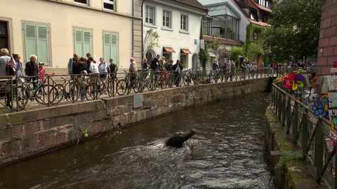 Viele Menschen sind zu sehen, sie laufen durch die Straßen Freiburgs.